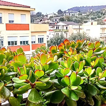 Big Mama Jungle E Bed and breakfast Terracina