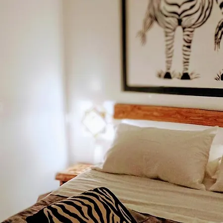 Big Mama Jungle E Bed and breakfast