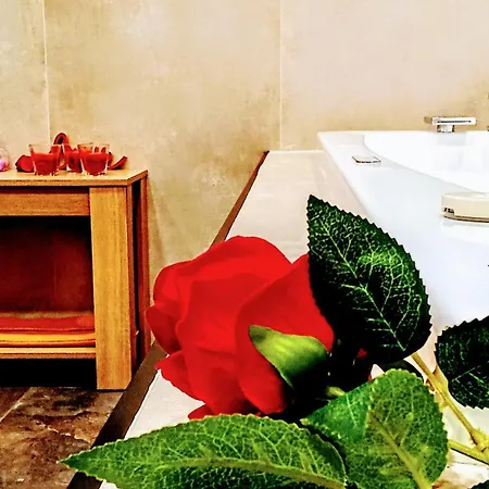Big Mama Jungle Bed & Breakfast Terracina