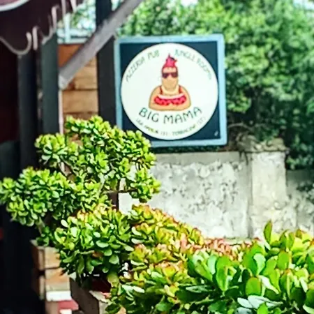 Bed & Breakfast Big Mama Jungle *
