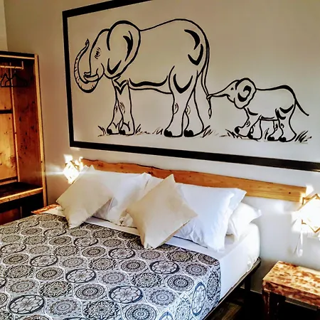 Big Mama Jungle E Bed and breakfast